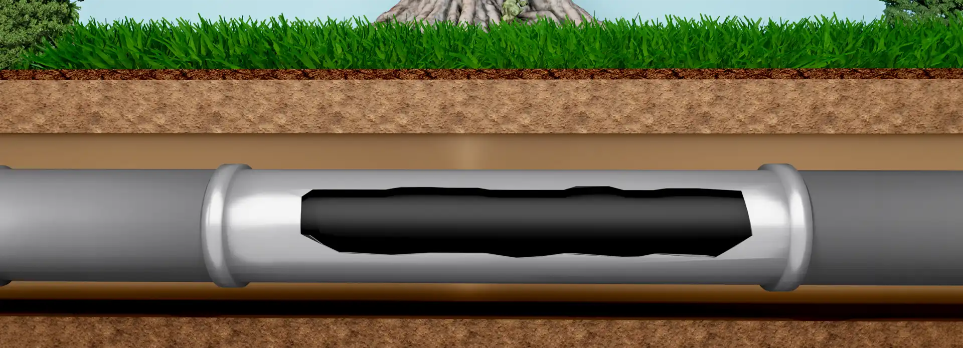 1920x694CIPPBanner3
